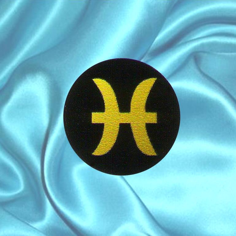Shungite plaque for cell phone PISCES