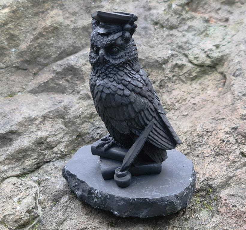 Shungite the learned owl from Russia