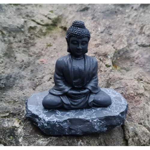 Shungite the Buddha (small)