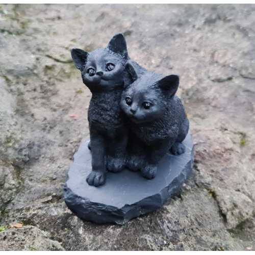 Shungite the Kittens