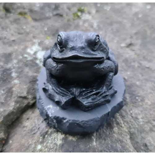 Shungite the Frog