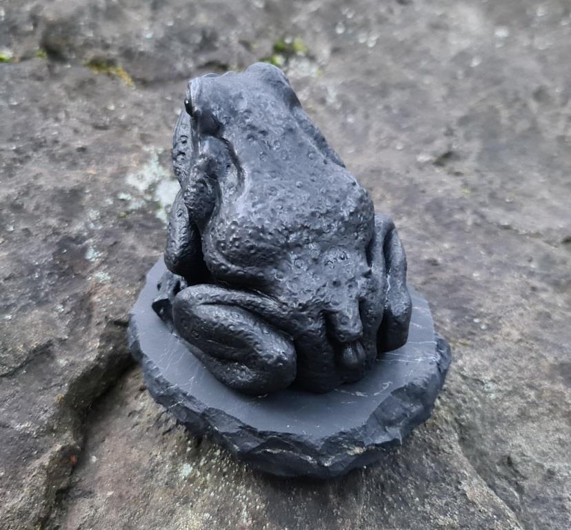 Shungite the Frog from Russia
