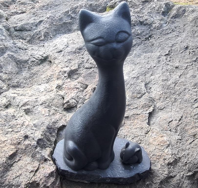 Shungite cat with a mouse