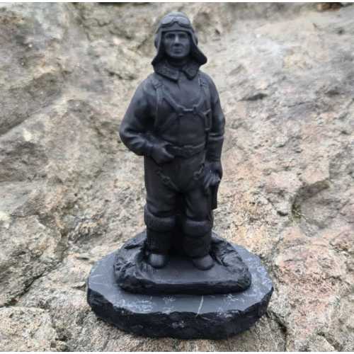 Polar Pilot