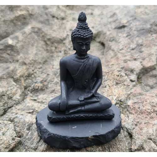 Shungite the Buddha (new)
