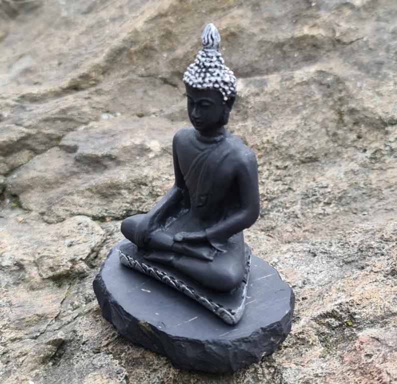 Shungite the Buddha (new, silver)
