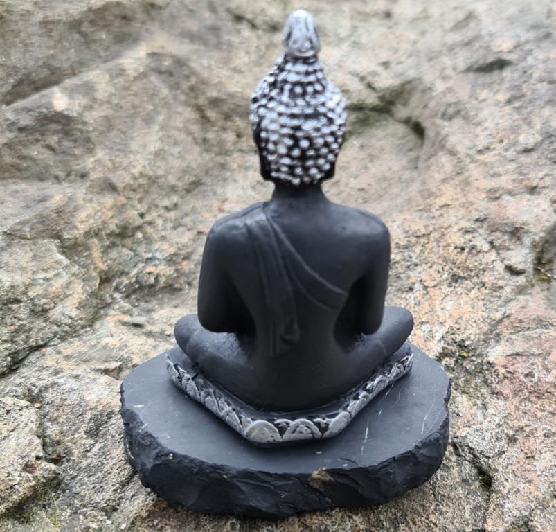 Shungite the Buddha (new, silver)