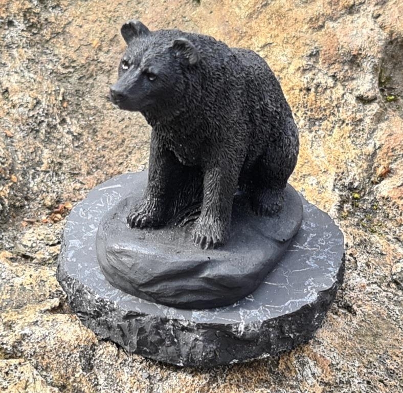 Shungite Bear on the rock