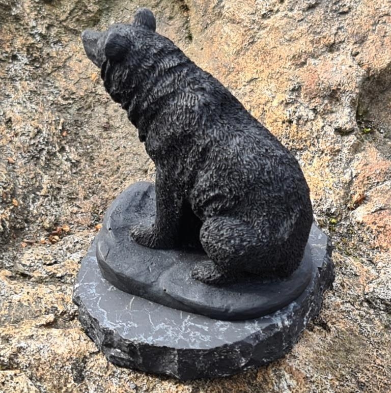 Shungite Bear on the rock