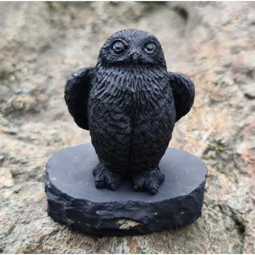 Shungite important owl