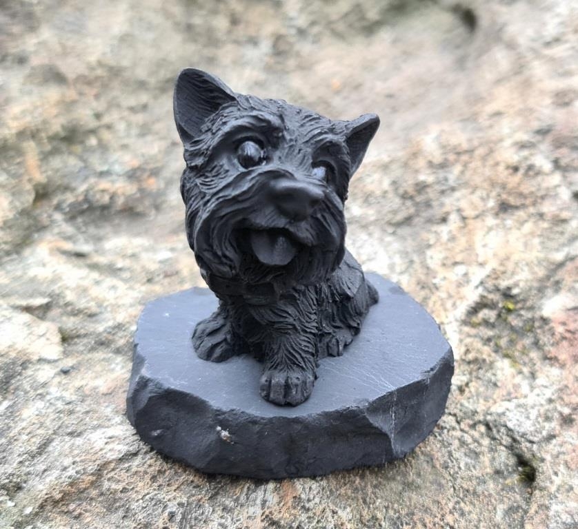 Shungite Little York Shungite Little York