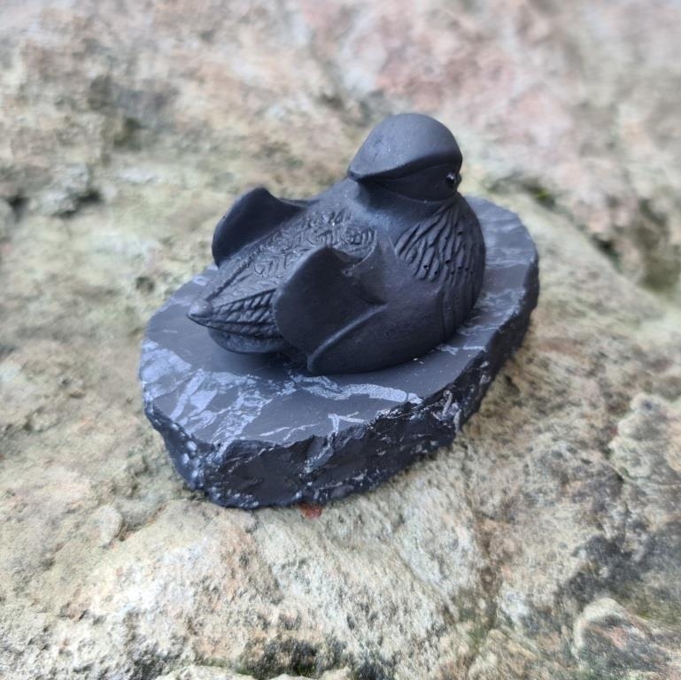 The figure Mandarin duck
