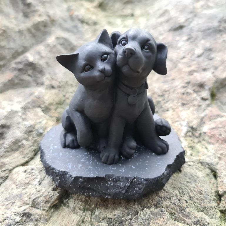 Shungite puppy with a kitten