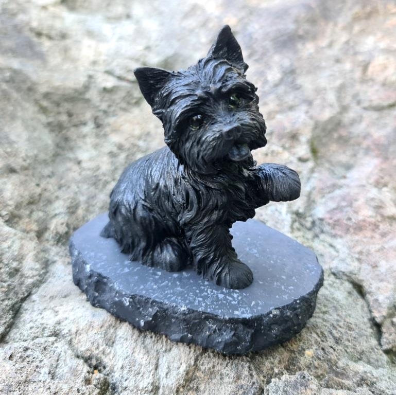 Shungite Yorkshire terrier Shungite Yorkshire terrier