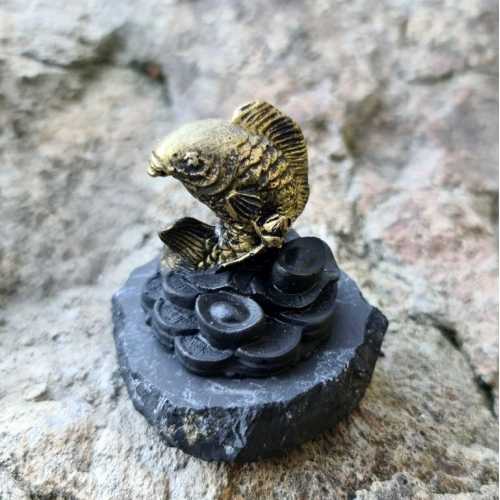 Shungite Goldfish
