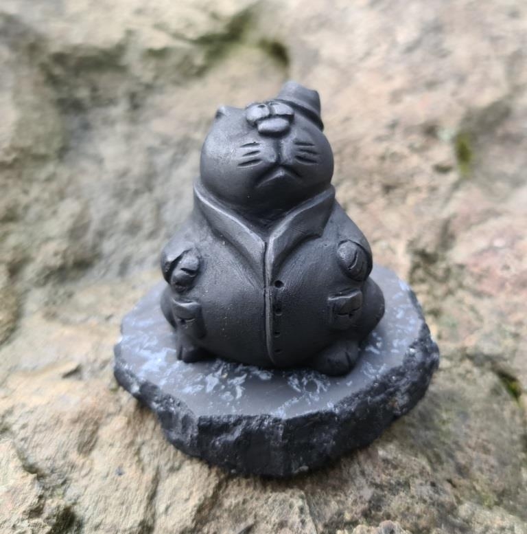 Shungite The cat in the coat Shungite The cat in the coat