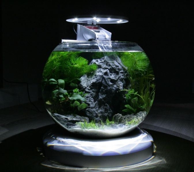 Small shungite in granules for aquariums
