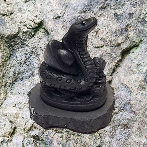 Shungite Snake with a money toad