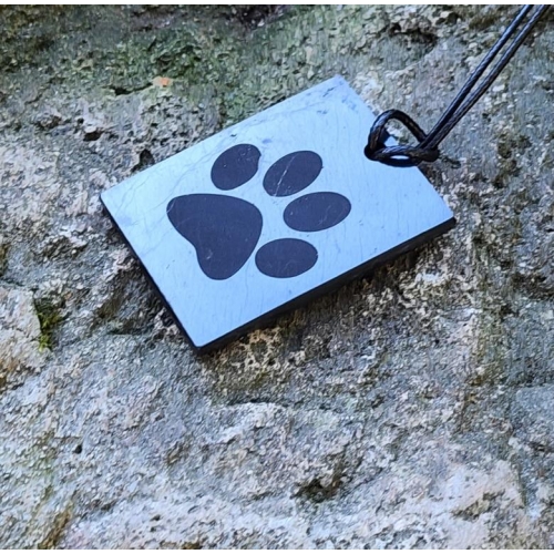 Shungite pendant "Cat's Foot" (rectangle) with laser engraving
