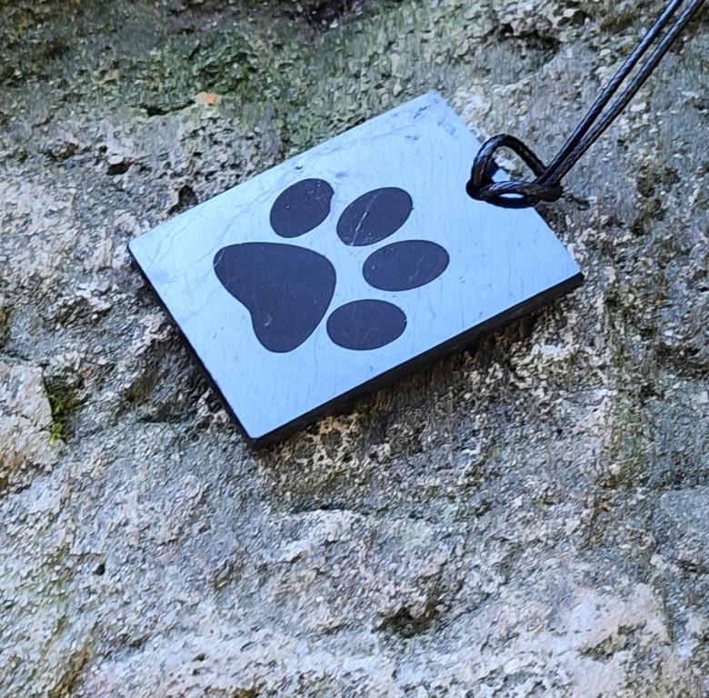 Shungite pendant "Cat's Foot" (rectangle) with laser engraving