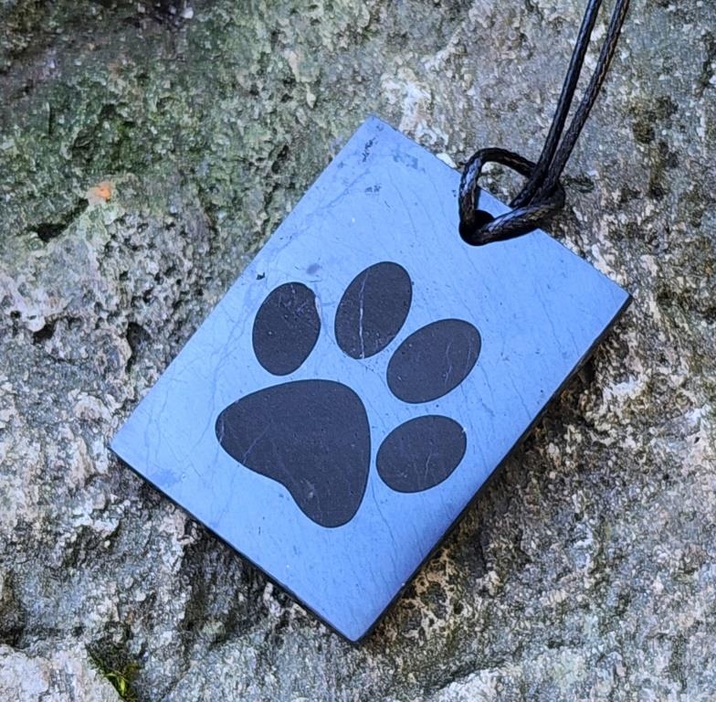 Shungite pendant "Cat's Foot" (rectangle) with laser engraving