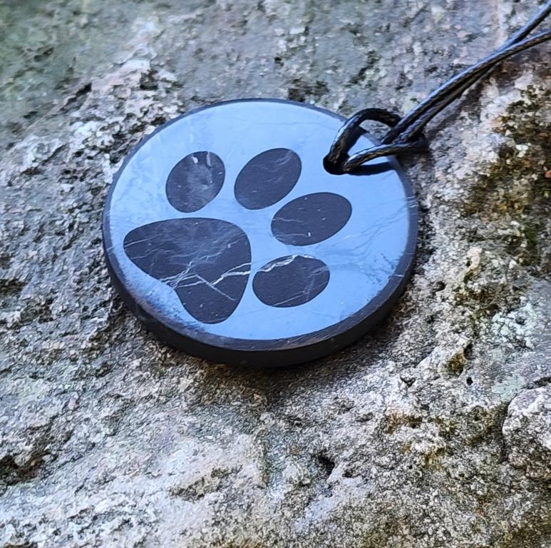 Shungite pendant "Cat's Foot" (circle) with laser engraving