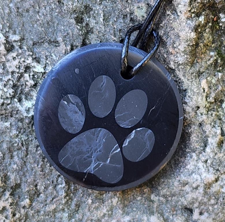 Shungite pendant "Cat's Foot" (circle) with laser engraving