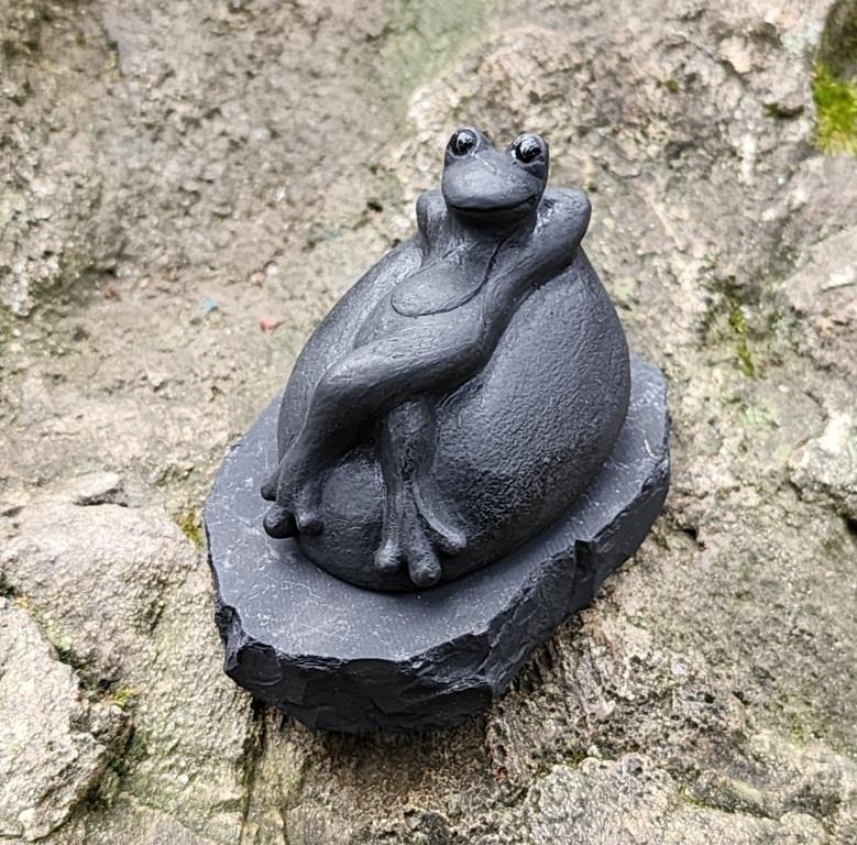 Shungite the frog on the stone