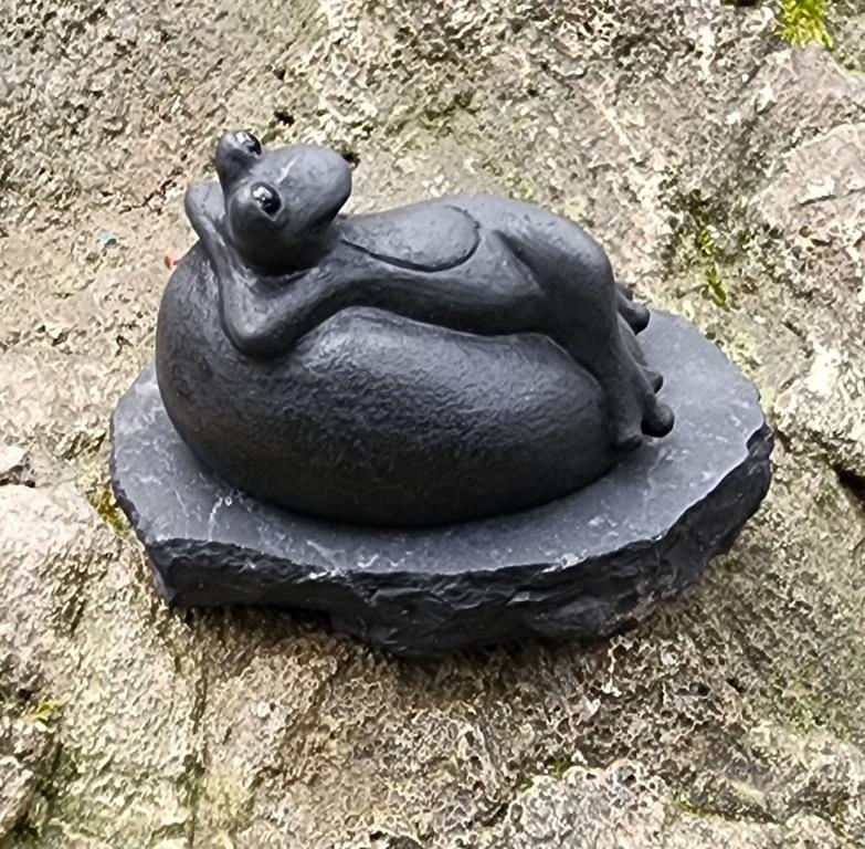 Shungite the frog on the stone