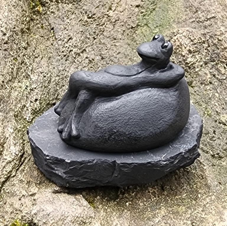 Shungite the frog on the stone