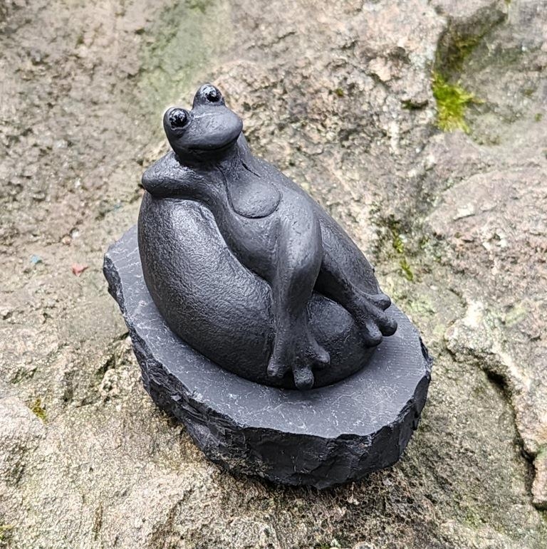 Shungite the frog on the stone