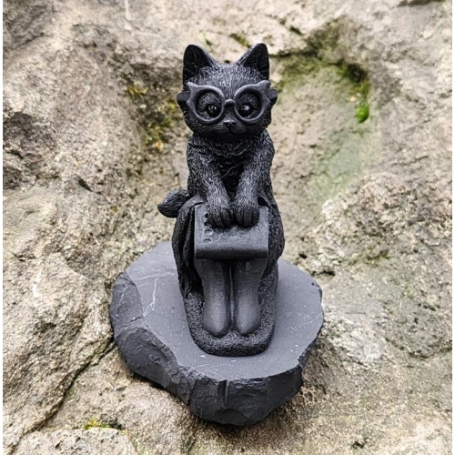 Shungite Smart cat