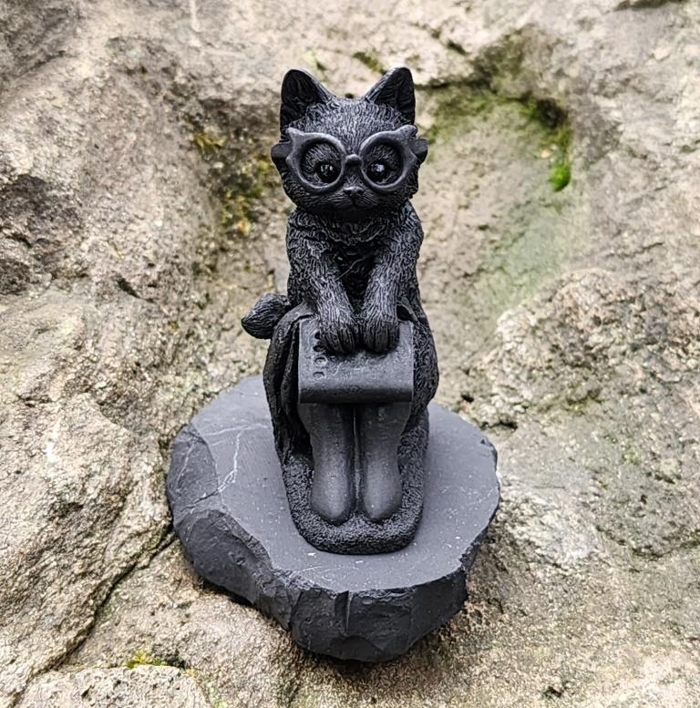 Shungite Smart cat