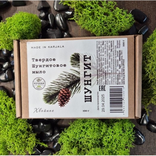 Solid shungite soap "Coniferouse"