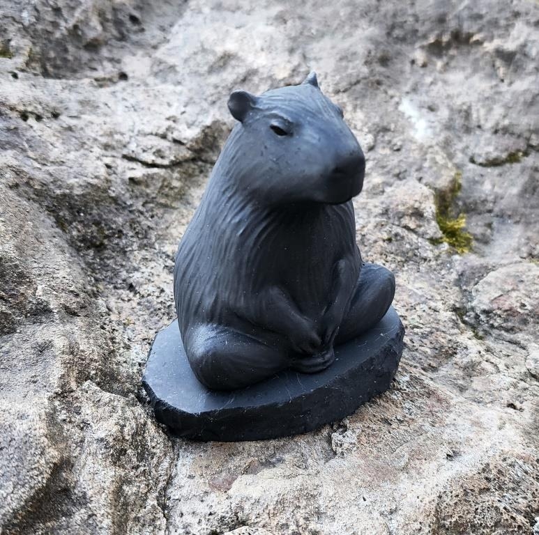 Shungite Capybara