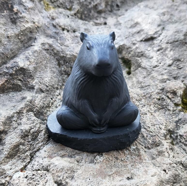 Shungite Capybara