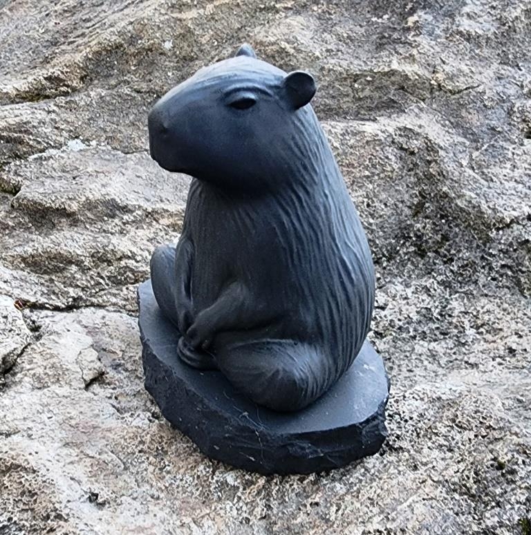 Shungite Capybara
