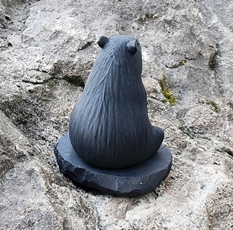Shungite Capybara