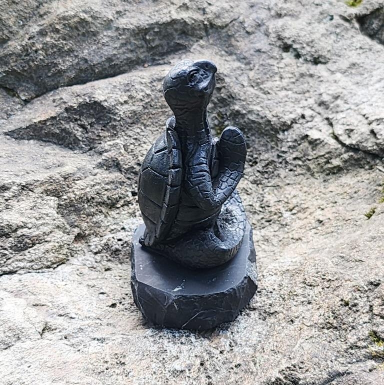 Shungite meditating turtle