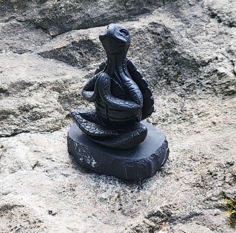 Shungite meditating turtle